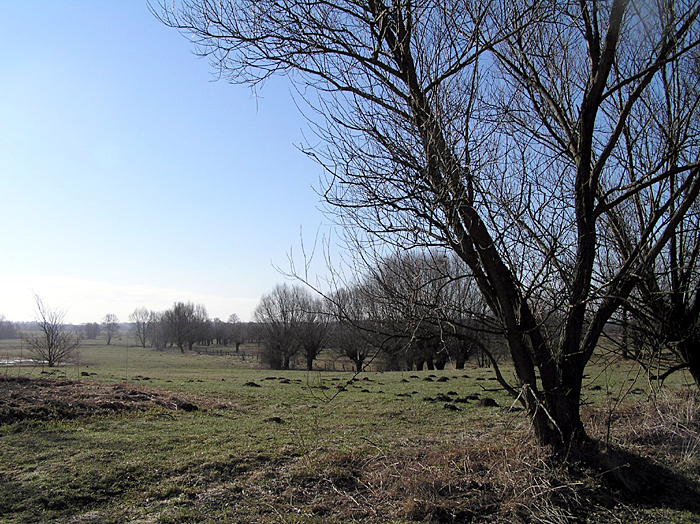 Shrap-Drakers.pl | Shrap Drakers Fishing | Wędkarstwo 