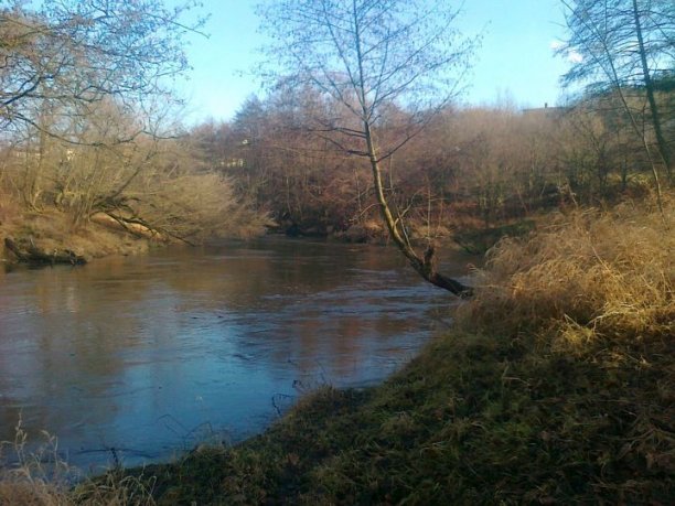 Shrap-Drakers.pl | Shrap Drakers Fishing | Wędkarstwo 