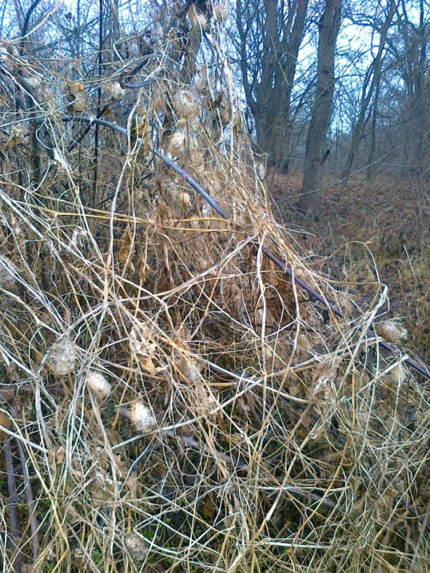 Shrap-Drakers.pl | Shrap Drakers Fishing | Wędkarstwo 