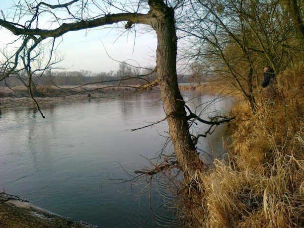 Shrap-Drakers.pl | Shrap Drakers Fishing | Wędkarstwo 