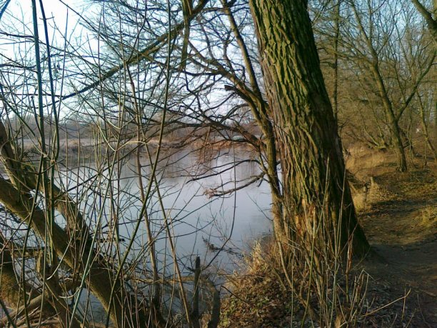 Shrap-Drakers.pl | Shrap Drakers Fishing | Wędkarstwo 