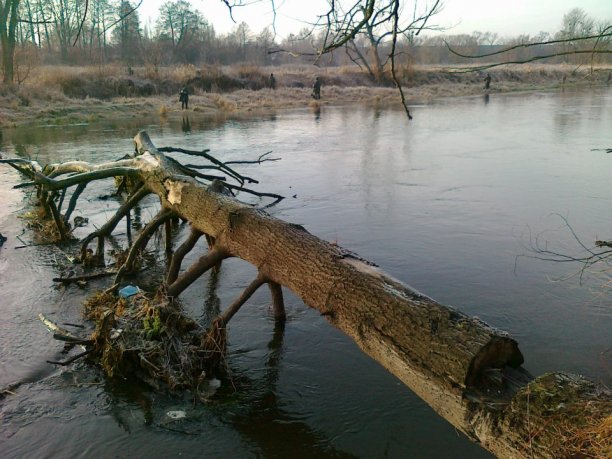 Shrap-Drakers.pl | Shrap Drakers Fishing | Wędkarstwo 