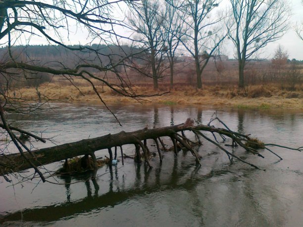 Shrap-Drakers.pl | Shrap Drakers Fishing | Wędkarstwo 
