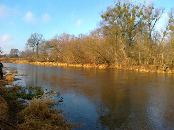 Shrap-Drakers.pl | Shrap Drakers Fishing | Wędkarstwo 