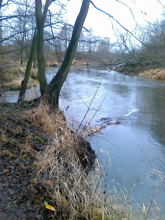 Shrap-Drakers.pl | Shrap Drakers Fishing | Wędkarstwo 