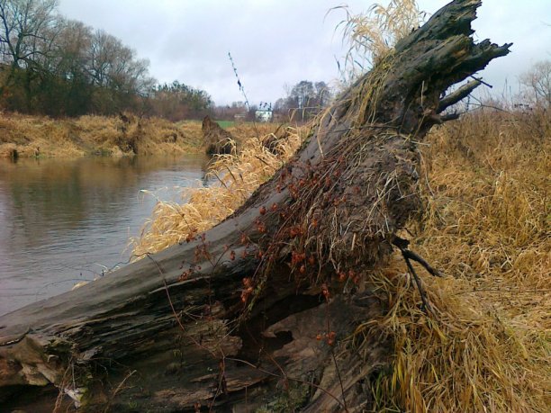 Shrap-Drakers.pl | Shrap Drakers Fishing | Wędkarstwo 