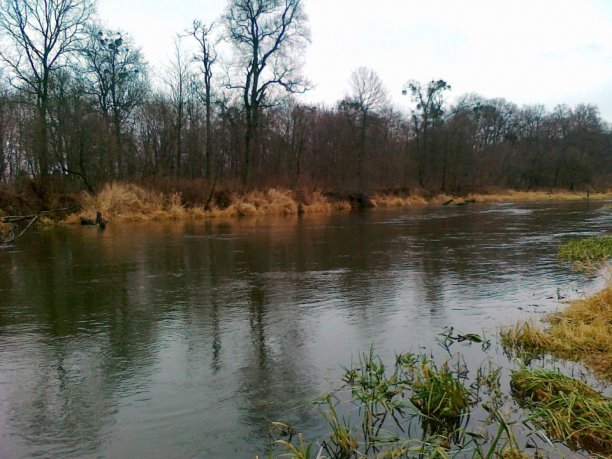 Shrap-Drakers.pl | Shrap Drakers Fishing | Wędkarstwo 