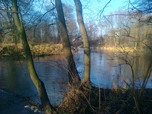 Shrap-Drakers.pl | Shrap Drakers Fishing | Wędkarstwo 