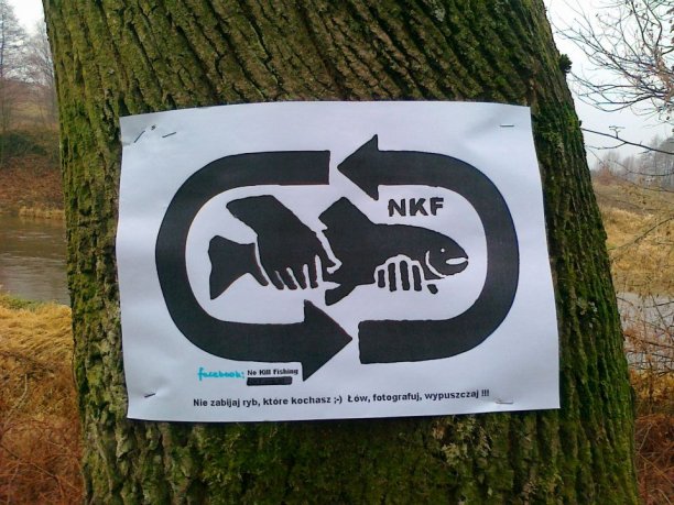 Kto chce ujrzeć tęczę musi polubić deszcz.  Salmo trutta m. trutta i  Salmo salar L.