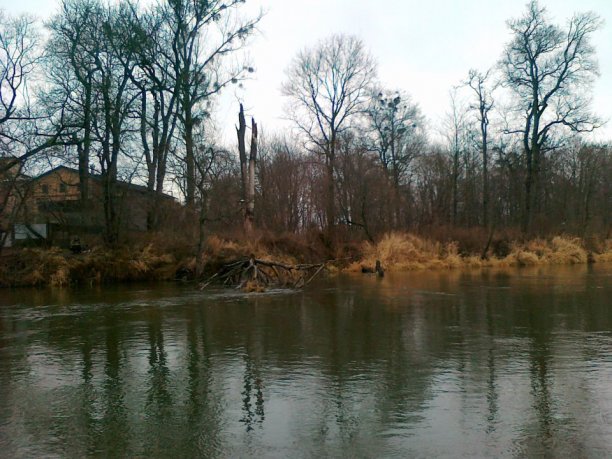 Shrap-Drakers.pl | Shrap Drakers Fishing | Wędkarstwo 