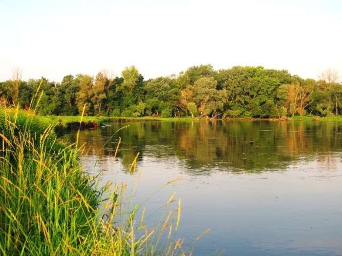 Shrap-Drakers.pl | Shrap Drakers Fishing | Wędkarstwo 