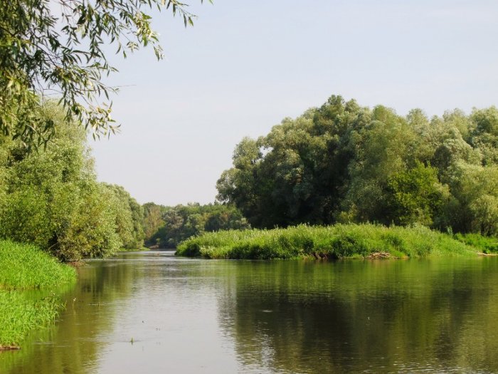 Shrap-Drakers.pl | Shrap Drakers Fishing | Wędkarstwo 