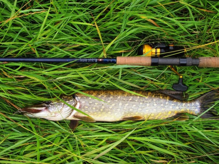 Shrap-Drakers.pl | Shrap Drakers Fishing | Wędkarstwo 