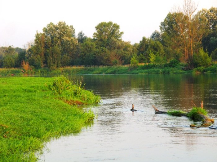 Shrap-Drakers.pl | Shrap Drakers Fishing | Wędkarstwo 