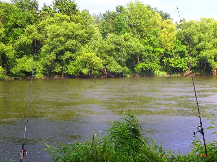 Shrap-Drakers.pl | Shrap Drakers Fishing | Wędkarstwo 