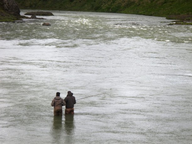 Shrap-Drakers.pl | Shrap Drakers Fishing | Wędkarstwo 