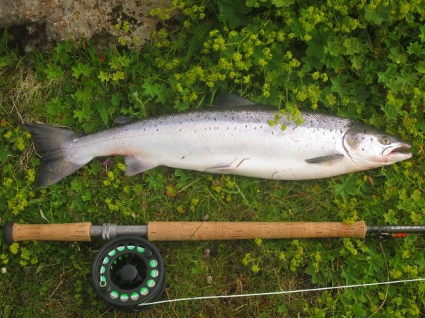 Shrap-Drakers.pl | Shrap Drakers Fishing | Wędkarstwo 