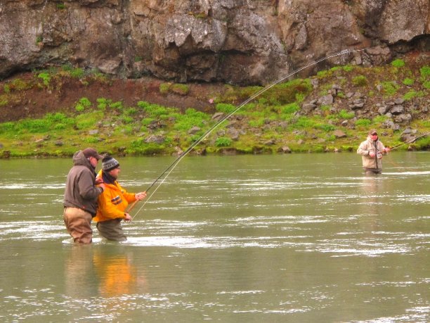 Shrap-Drakers.pl | Shrap Drakers Fishing | Wędkarstwo 