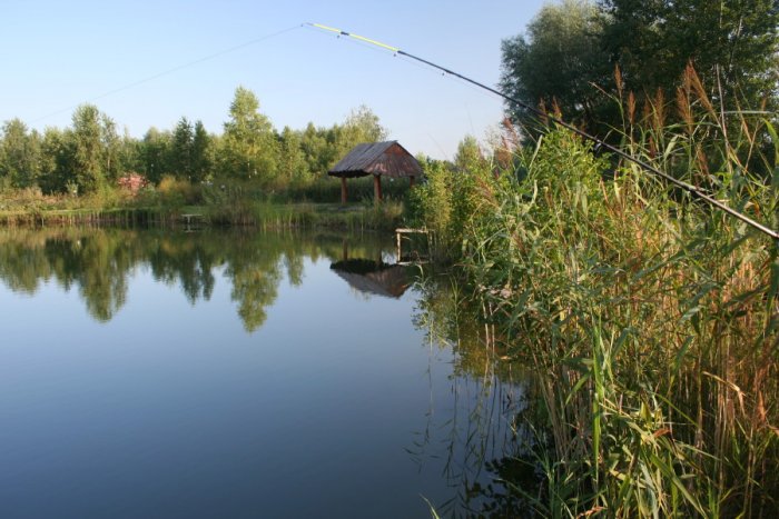 Shrap-Drakers.pl | Shrap Drakers Fishing | Wędkarstwo 