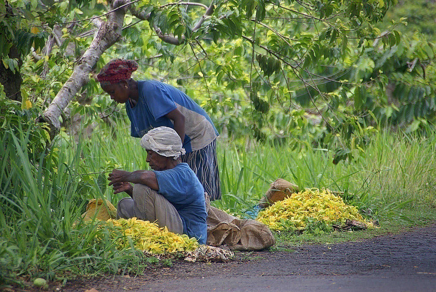 Shrap-Drakers.pl | Shrap Drakers Fishing | Wędkarstwo 