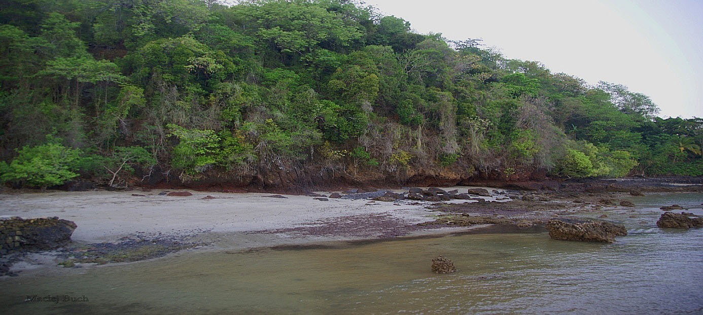 Shrap-Drakers.pl | Shrap Drakers Fishing | Wędkarstwo 