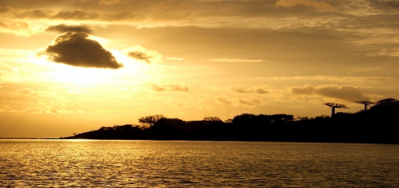 Shrap-Drakers.pl | Shrap Drakers Fishing | Wędkarstwo 