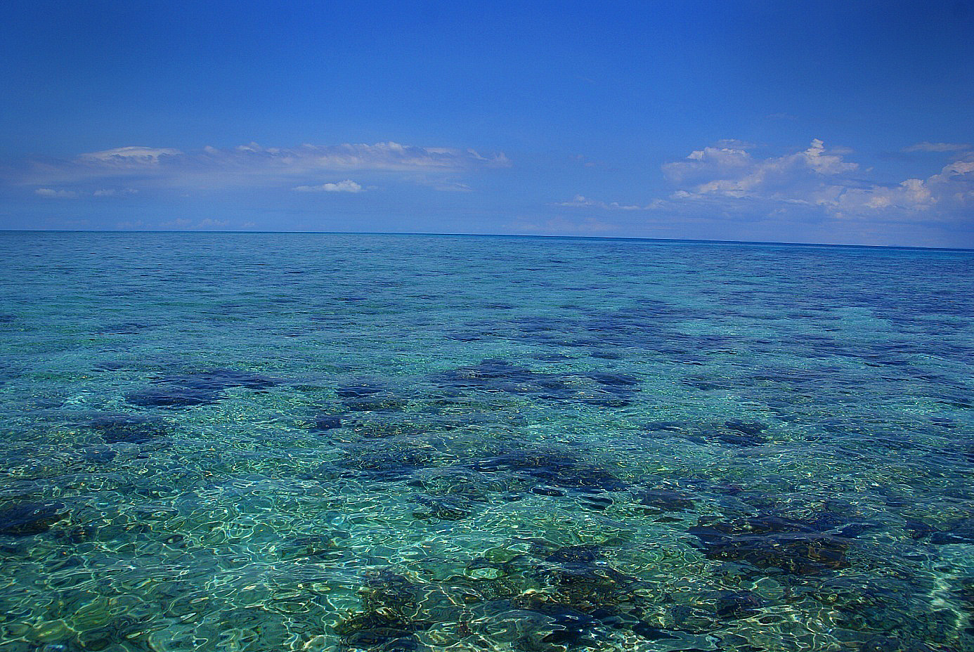 Shrap-Drakers.pl | Shrap Drakers Fishing | Wędkarstwo 