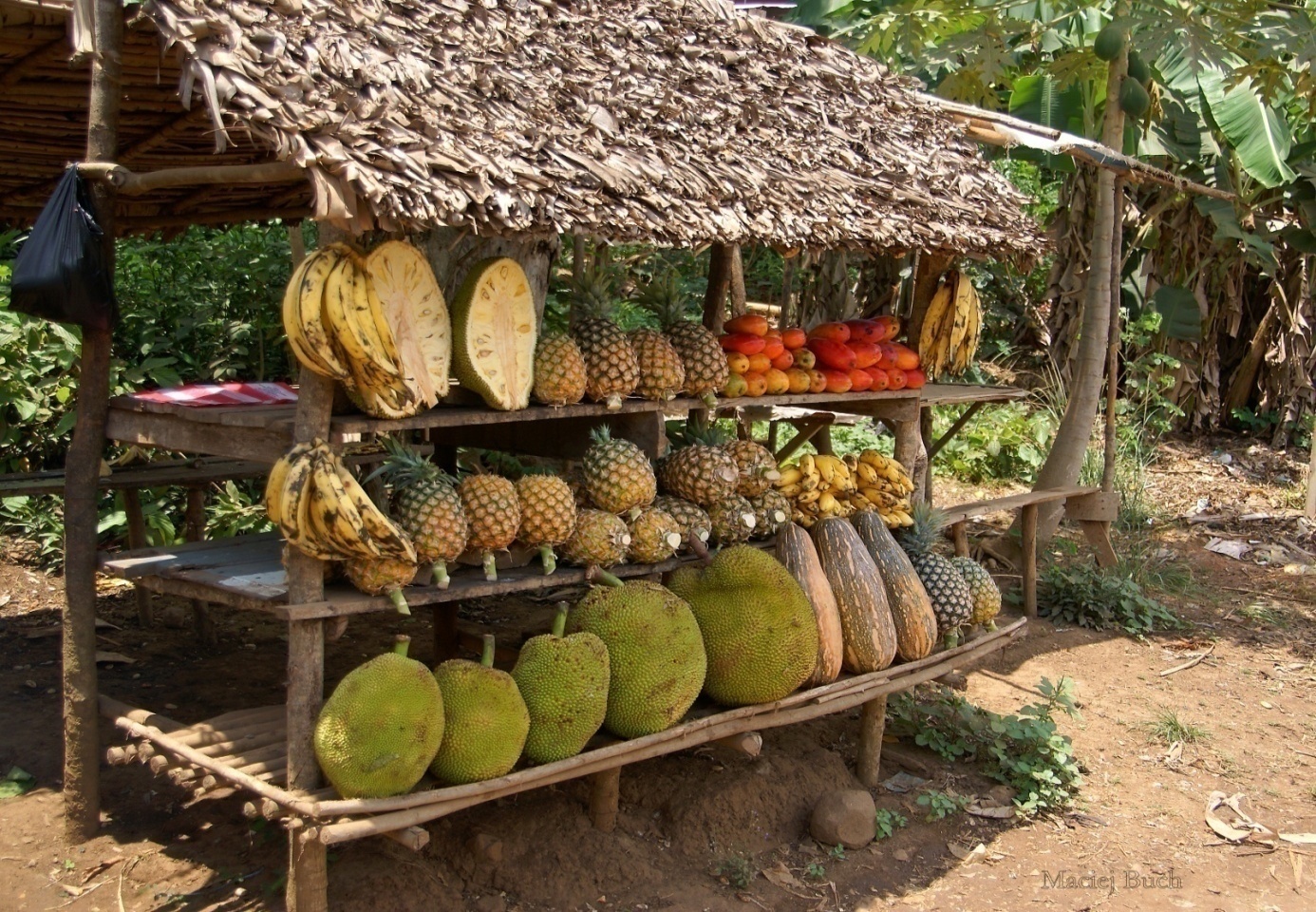 Shrap-Drakers.pl | Shrap Drakers Fishing | Wędkarstwo 