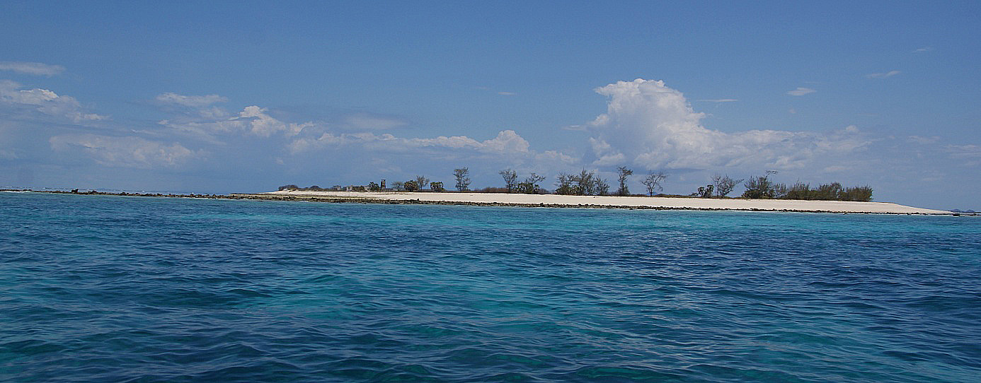 Shrap-Drakers.pl | Shrap Drakers Fishing | Wędkarstwo 