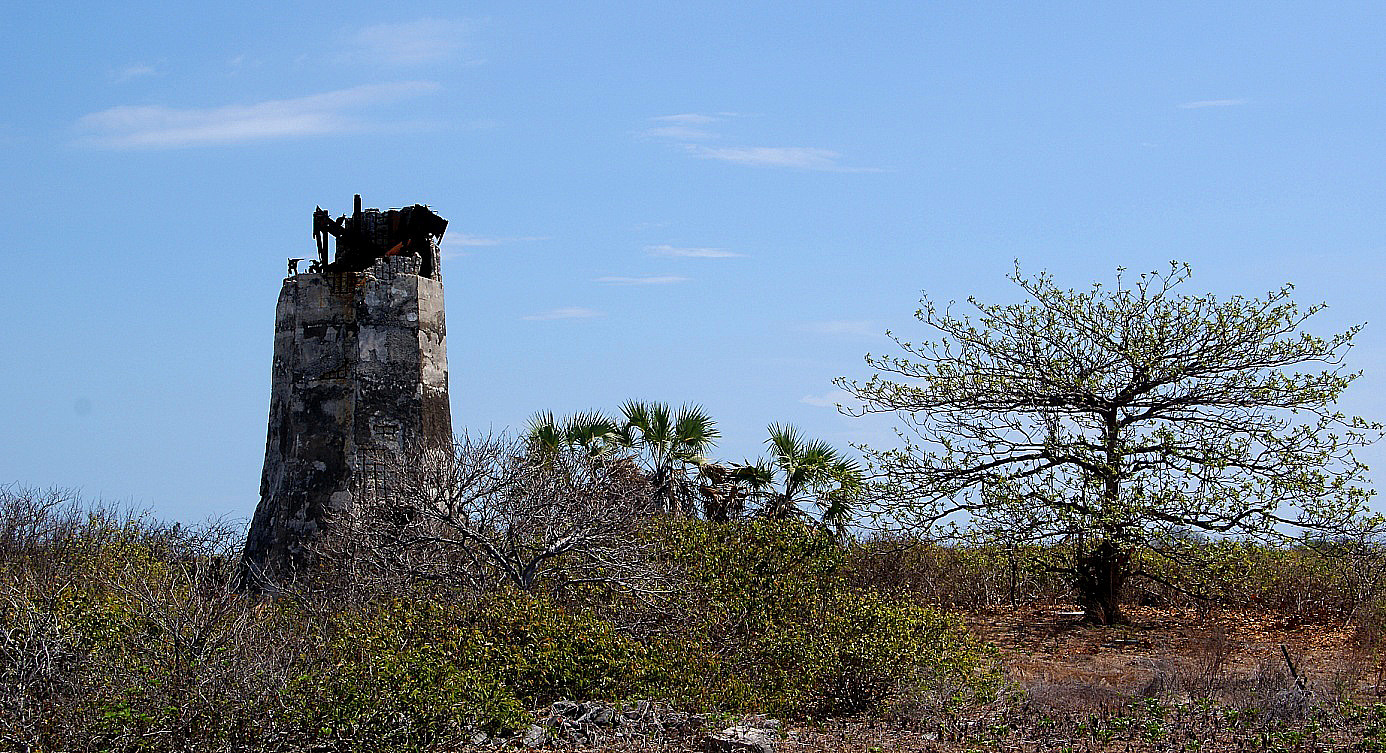 Shrap-Drakers.pl | Shrap Drakers Fishing | Wędkarstwo 