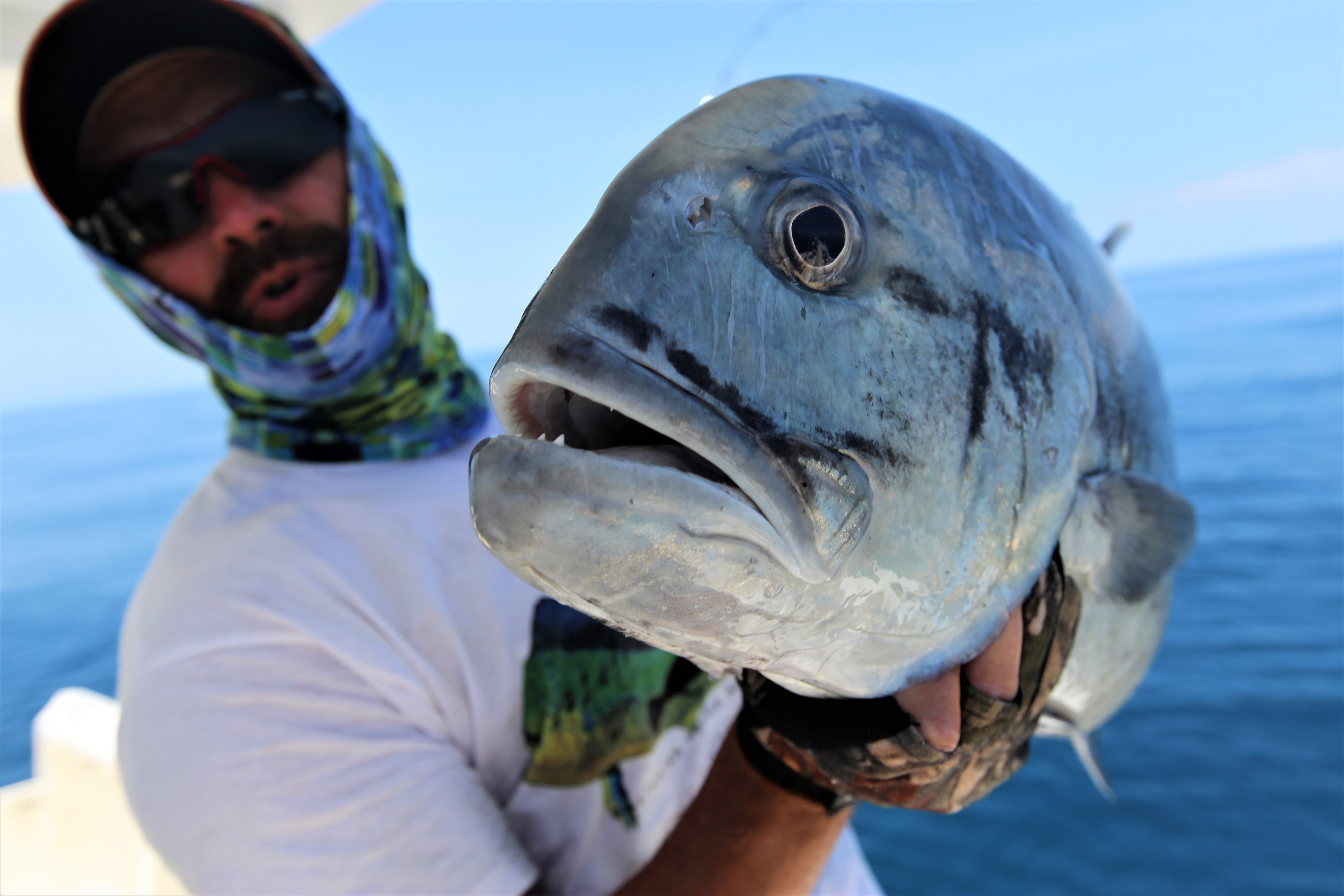 Shrap-Drakers.pl | Shrap Drakers Fishing | Wędkarstwo 