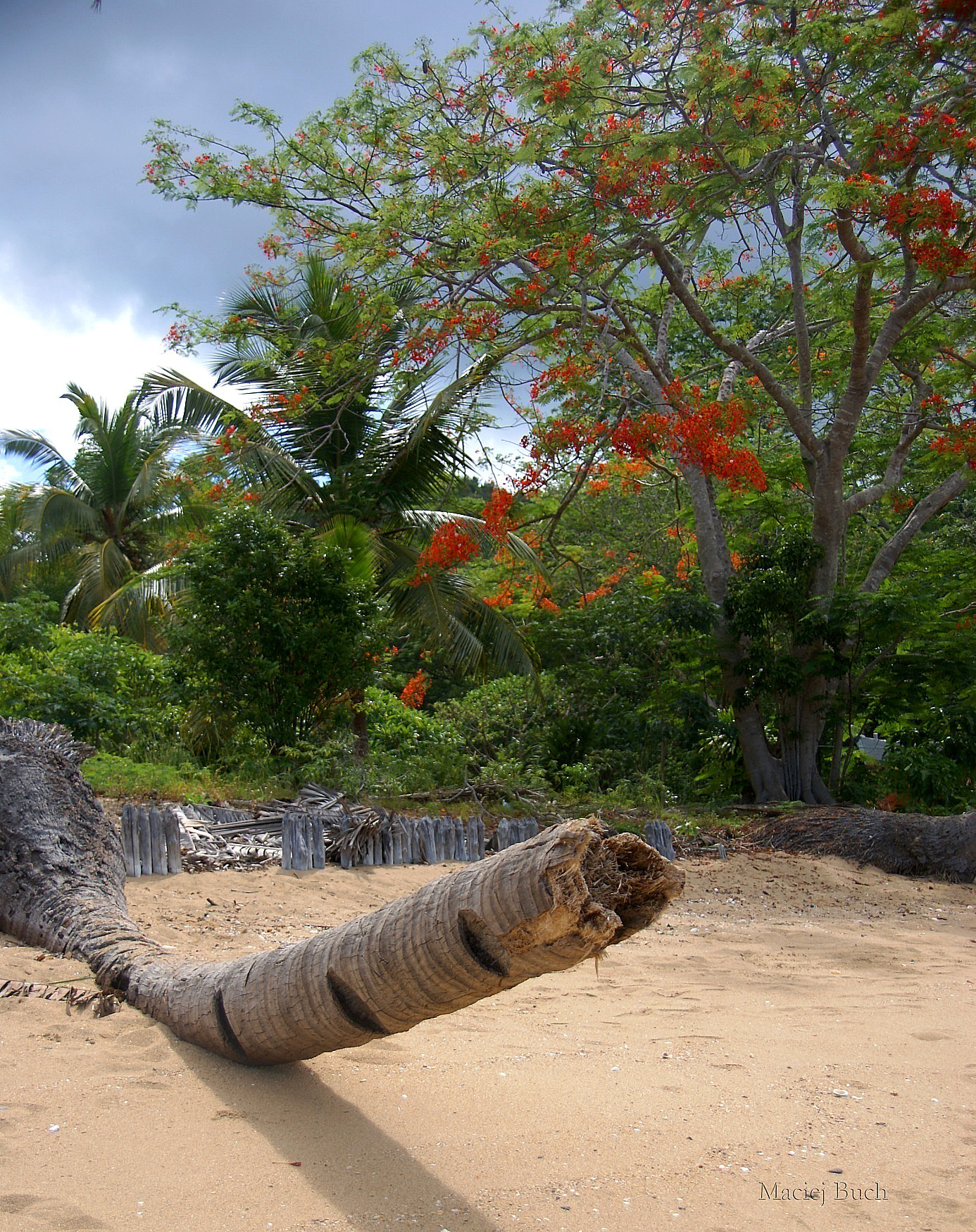 Shrap-Drakers.pl | Shrap Drakers Fishing | Wędkarstwo 