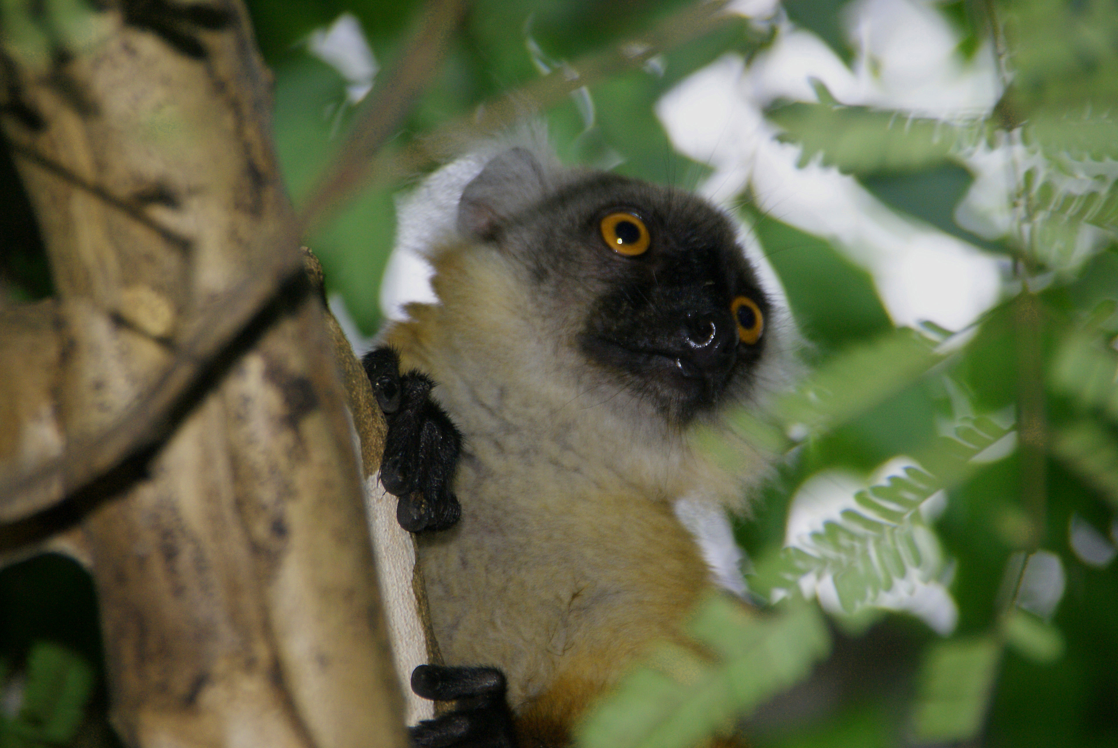 Shrap-Drakers.pl | Shrap Drakers Fishing | Wędkarstwo 