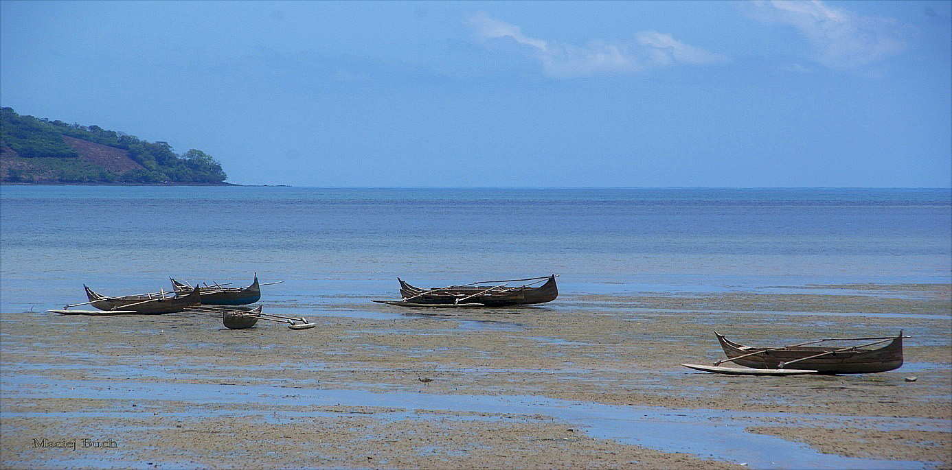 Shrap-Drakers.pl | Shrap Drakers Fishing | Wędkarstwo 