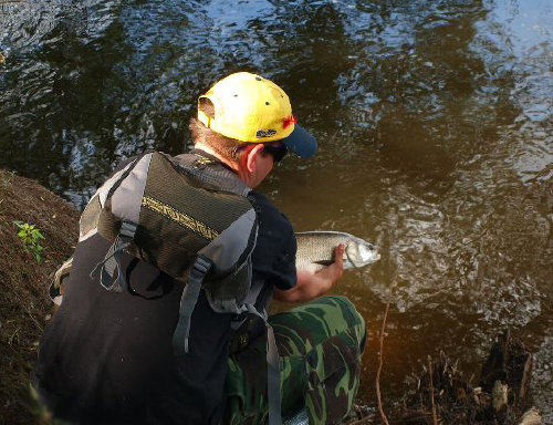 Shrap-Drakers.pl | Shrap Drakers Fishing | Wędkarstwo 