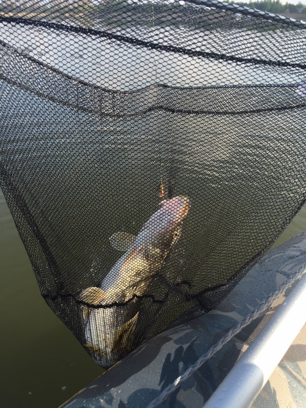 Shrap-Drakers.pl | Shrap Drakers Fishing | Wędkarstwo 