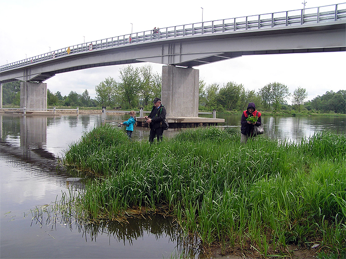 Shrap-Drakers.pl | Shrap Drakers Fishing | Wędkarstwo 