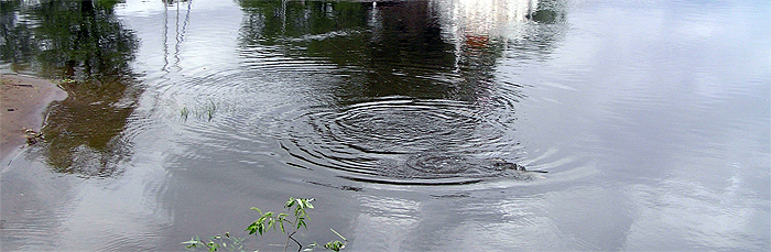 Shrap-Drakers.pl | Shrap Drakers Fishing | Wędkarstwo 