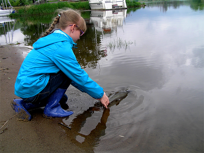 Shrap-Drakers.pl | Shrap Drakers Fishing | Wędkarstwo 