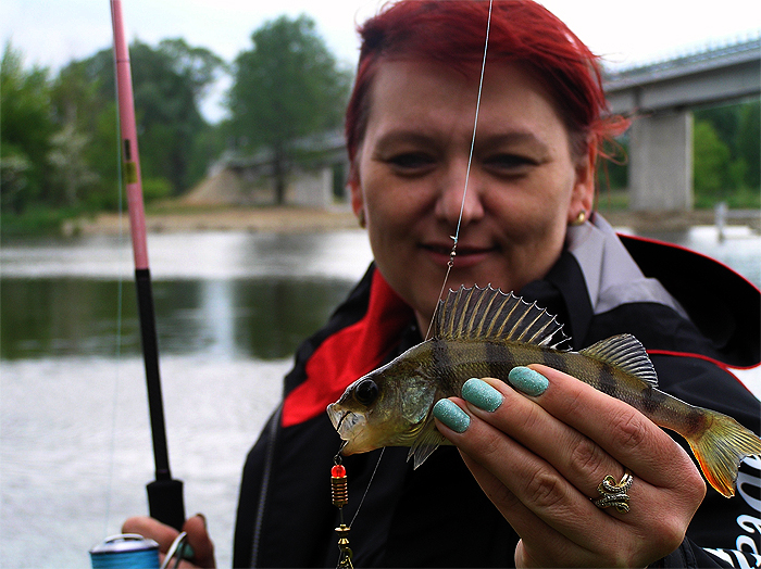 Shrap-Drakers.pl | Shrap Drakers Fishing | Wędkarstwo 