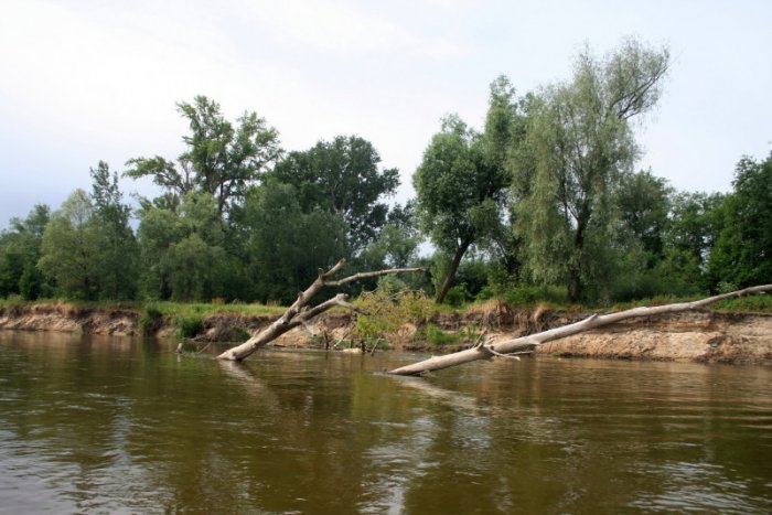 Shrap-Drakers.pl | Shrap Drakers Fishing | Wędkarstwo 