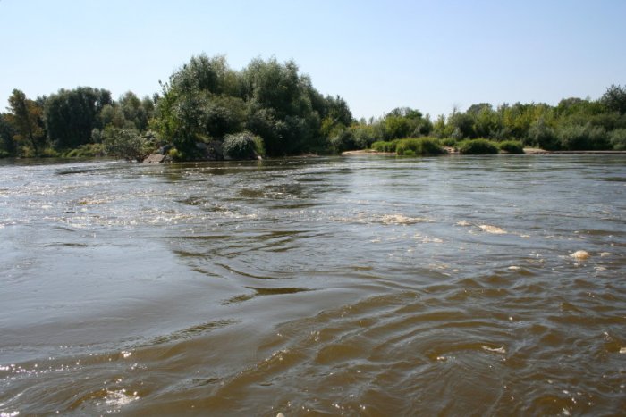 Shrap-Drakers.pl | Shrap Drakers Fishing | Wędkarstwo 