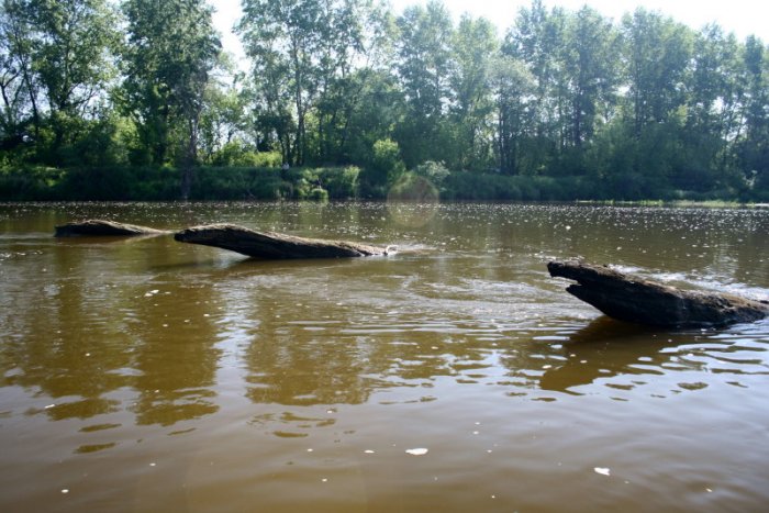 Shrap-Drakers.pl | Shrap Drakers Fishing | Wędkarstwo 