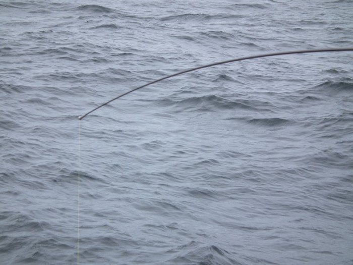 Shrap-Drakers.pl | Shrap Drakers Fishing | Wędkarstwo 