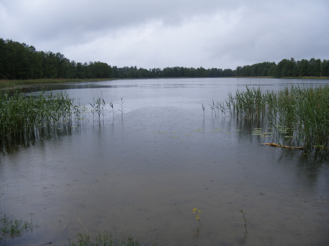 Shrap-Drakers.pl | Shrap Drakers Fishing | Wędkarstwo 