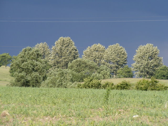 Shrap-Drakers.pl | Shrap Drakers Fishing | Wędkarstwo 