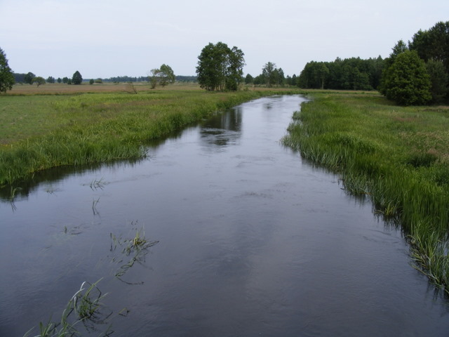 Shrap-Drakers.pl | Shrap Drakers Fishing | Wędkarstwo 