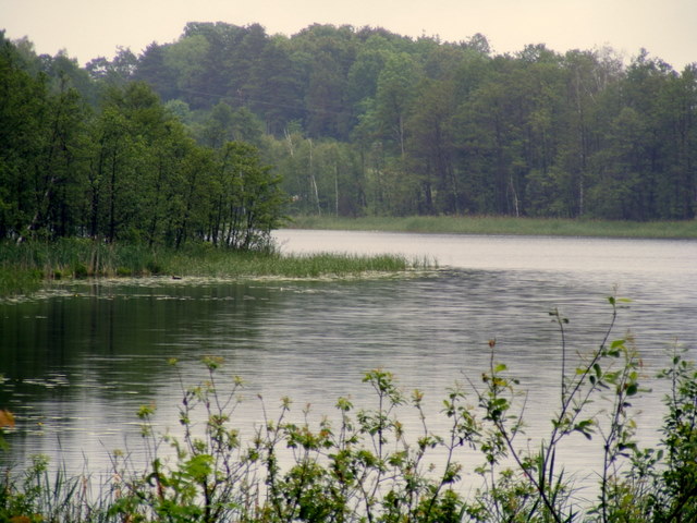 Shrap-Drakers.pl | Shrap Drakers Fishing | Wędkarstwo 