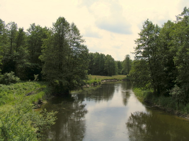 Shrap-Drakers.pl | Shrap Drakers Fishing | Wędkarstwo 