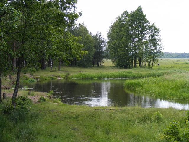 Shrap-Drakers.pl | Shrap Drakers Fishing | Wędkarstwo 